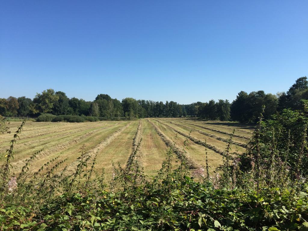 Alwine - Landhaus An Den Spreewiesen Rietz Neuendorf Kültér fotó